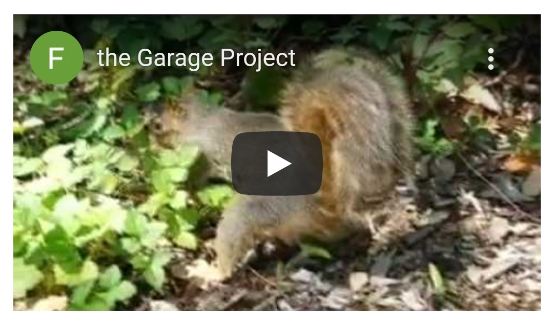 The Garage Project