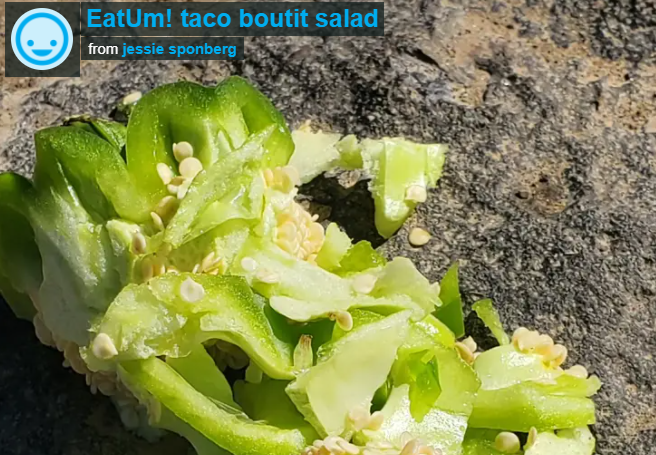 taco boutit salad